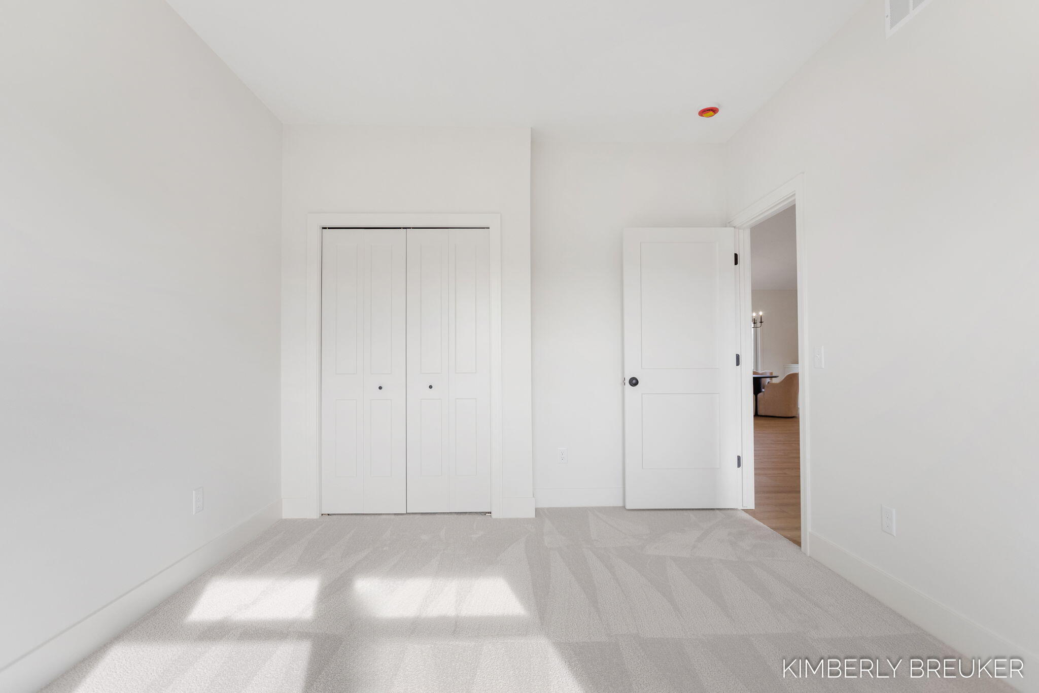 6351 Roman Road Allendale, MI 49401 - Photo 42 of 51 51-web-or-mls-6351-roman-rd