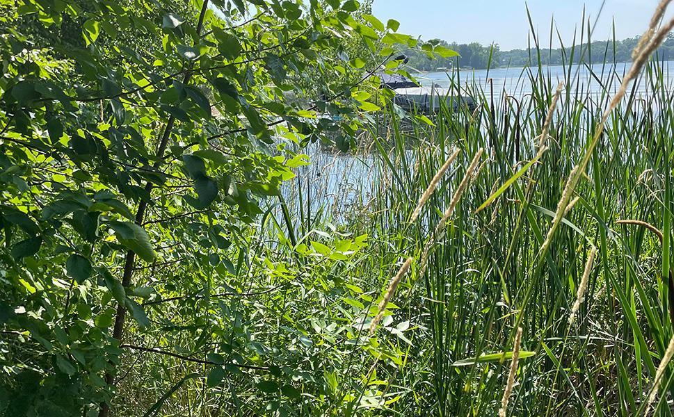 Lot 4 Seclusion Point Road Dent, MN 56528 - Photo 11 of 16