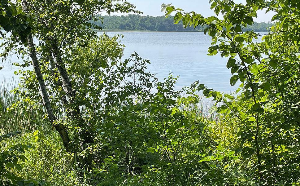 Lot 4 Seclusion Point Road Dent, MN 56528 - Photo 12 of 16
