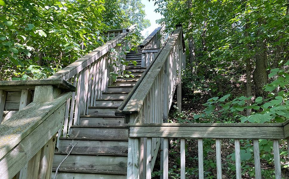 Lot 4 Seclusion Point Road Dent, MN 56528 - Photo 14 of 16