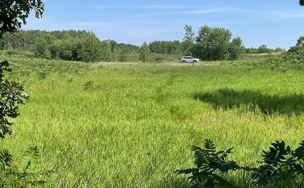Lot 4 Seclusion Point Road Dent, MN 56528 - Photo 3 of 16