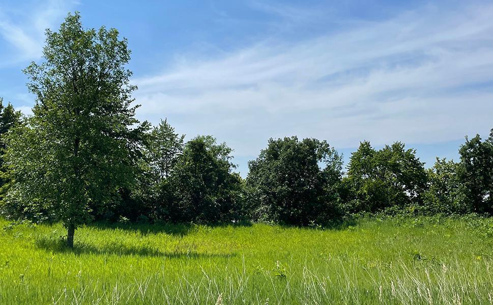 Lot 4 Seclusion Point Road Dent, MN 56528 - Photo 4 of 16