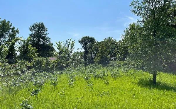 $210,000 | Lot 4 Seclusion Point Road, Dent, MN 56528