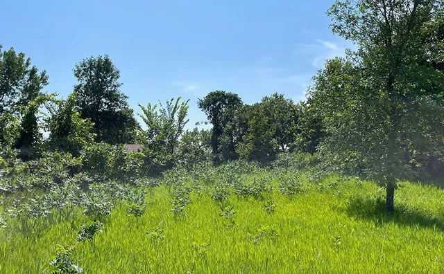 $220,000 | Lot 4 Seclusion Point Road, Dent, MN 56528