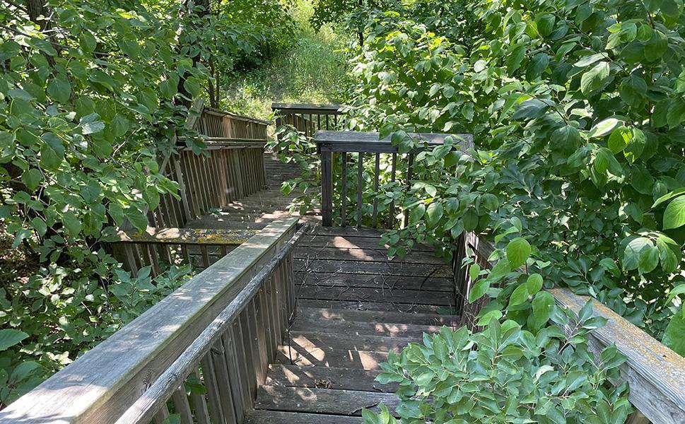 Lot 4 Seclusion Point Road Dent, MN 56528 - Photo 6 of 16