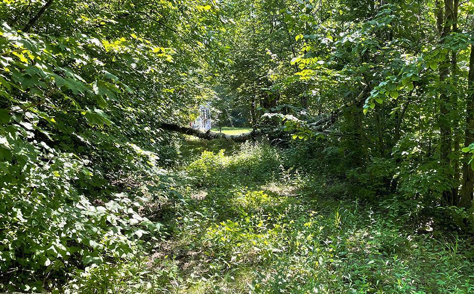 Lot 4 Seclusion Point Road Dent, MN 56528 - Photo 7 of 16