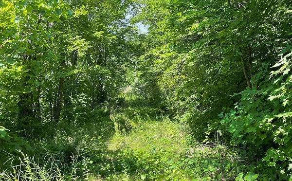 $210,000 | Lot 4 Seclusion Point Road, Dent, MN 56528