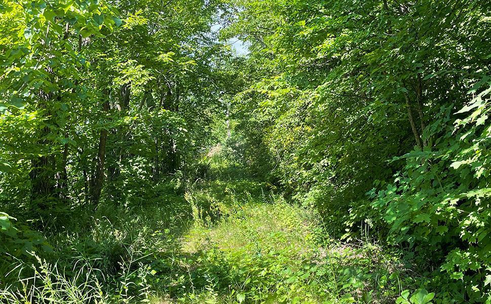 Lot 4 Seclusion Point Road Dent, MN 56528 - Photo 8 of 16