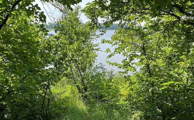 $220,000 | Lot 4 Seclusion Point Road, Dent, MN 56528