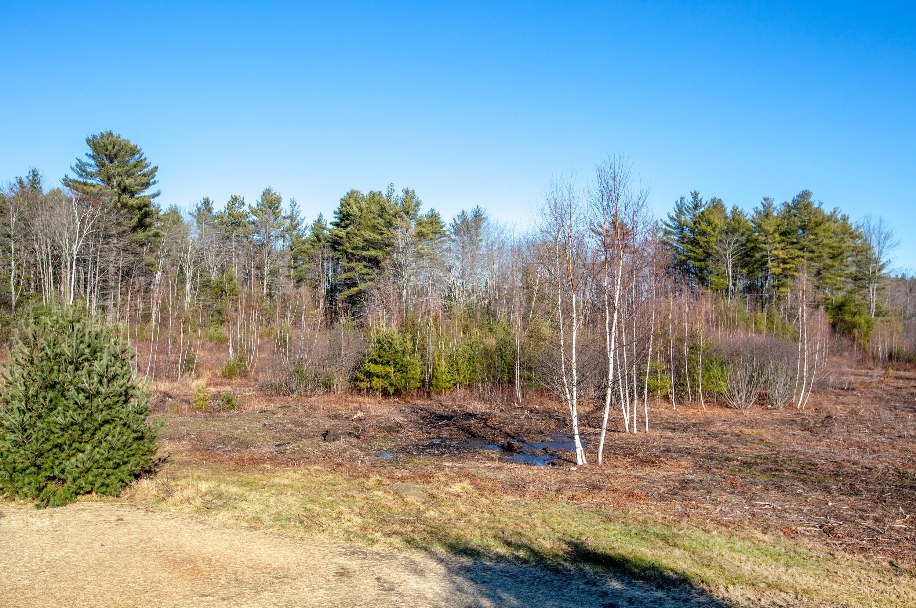 230 Swamp Road Durham, ME 04222 - Photo 6 of 67 Swamp_Bettinger_06