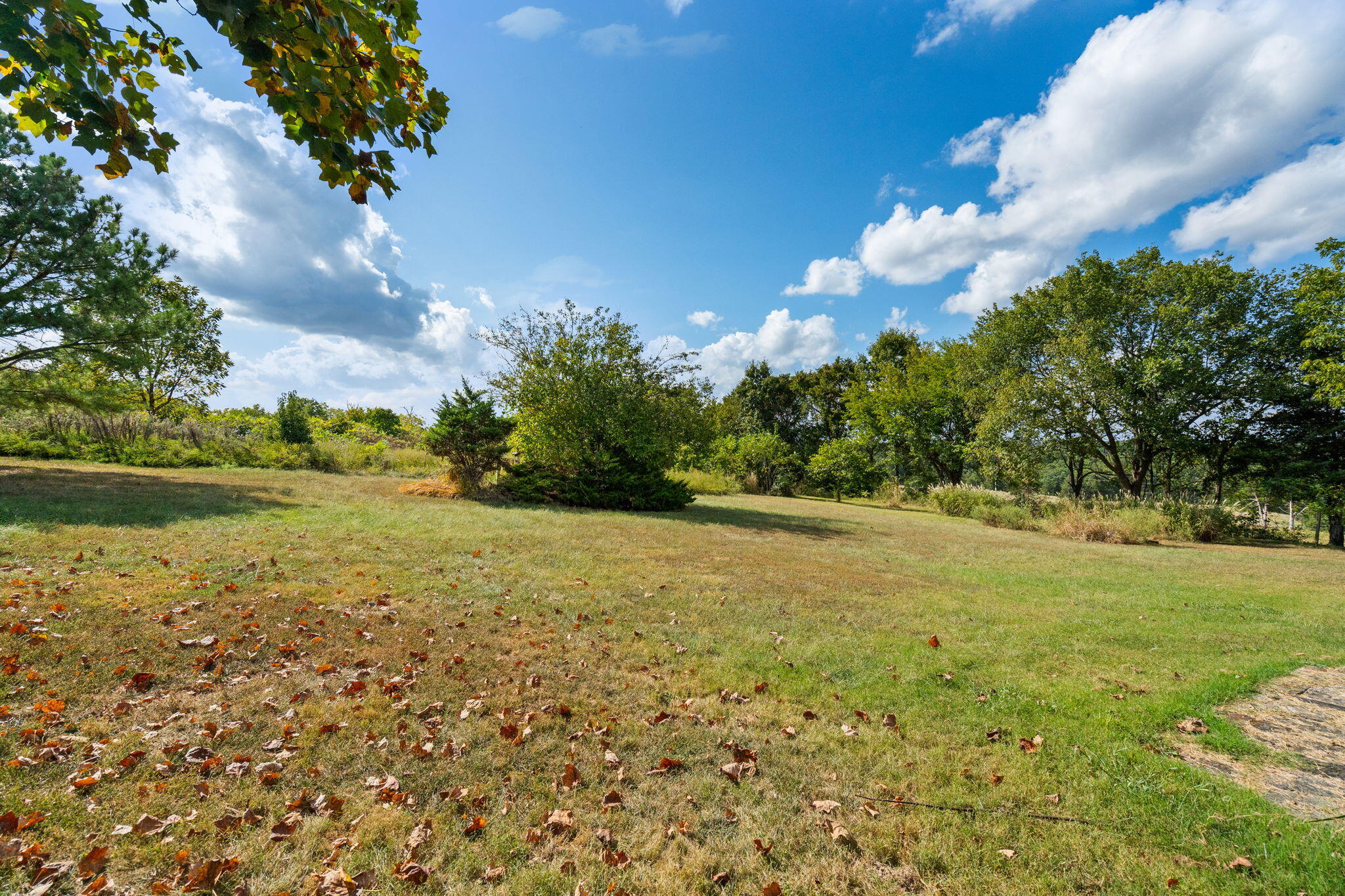 165 Fairview Road Sparta, MO 65753 - Photo 29 of 44 32-web-or-mls-DSC07567