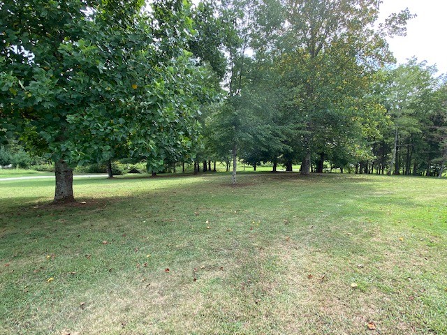 3764 Decherd Estill Road Winchester, TN 37398 - Photo 15 of 29 a view of outdoor space with green field and trees