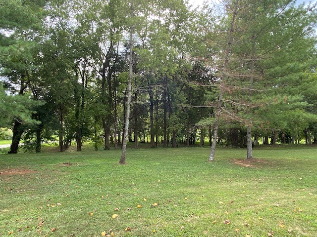 3764 Decherd Estill Road Winchester, TN 37398 - Photo 18 of 29 a backyard of a house with lots of green space and trees