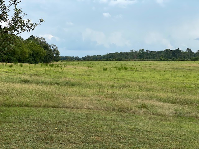3764 Decherd Estill Road Winchester, TN 37398 - Photo 20 of 29 a view of lake and mountain