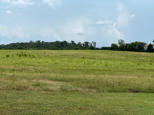 3764 Decherd Estill Road Winchester, TN 37398 - Photo 21 of 29 a view of an ocean