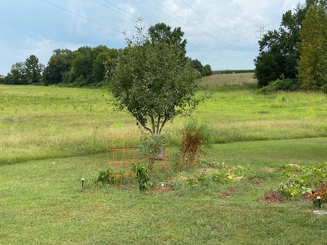 3764 Decherd Estill Road Winchester, TN 37398 - Photo 23 of 29 a view of a lake with a yard