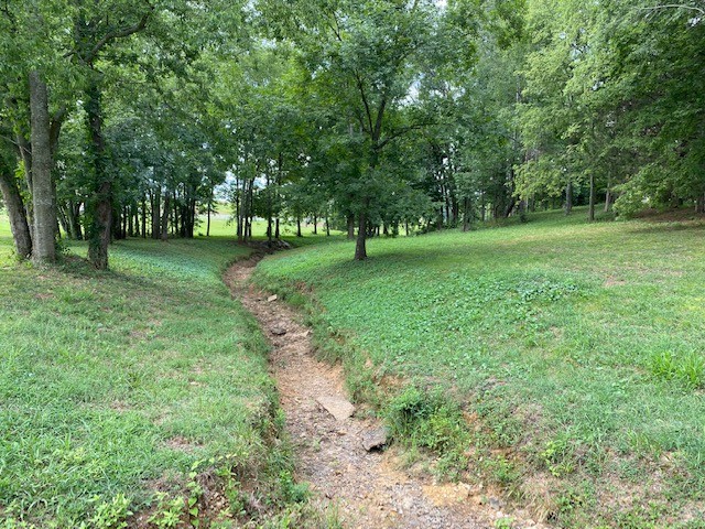 3764 Decherd Estill Road Winchester, TN 37398 - Photo 28 of 29 a view of a trees with a yard