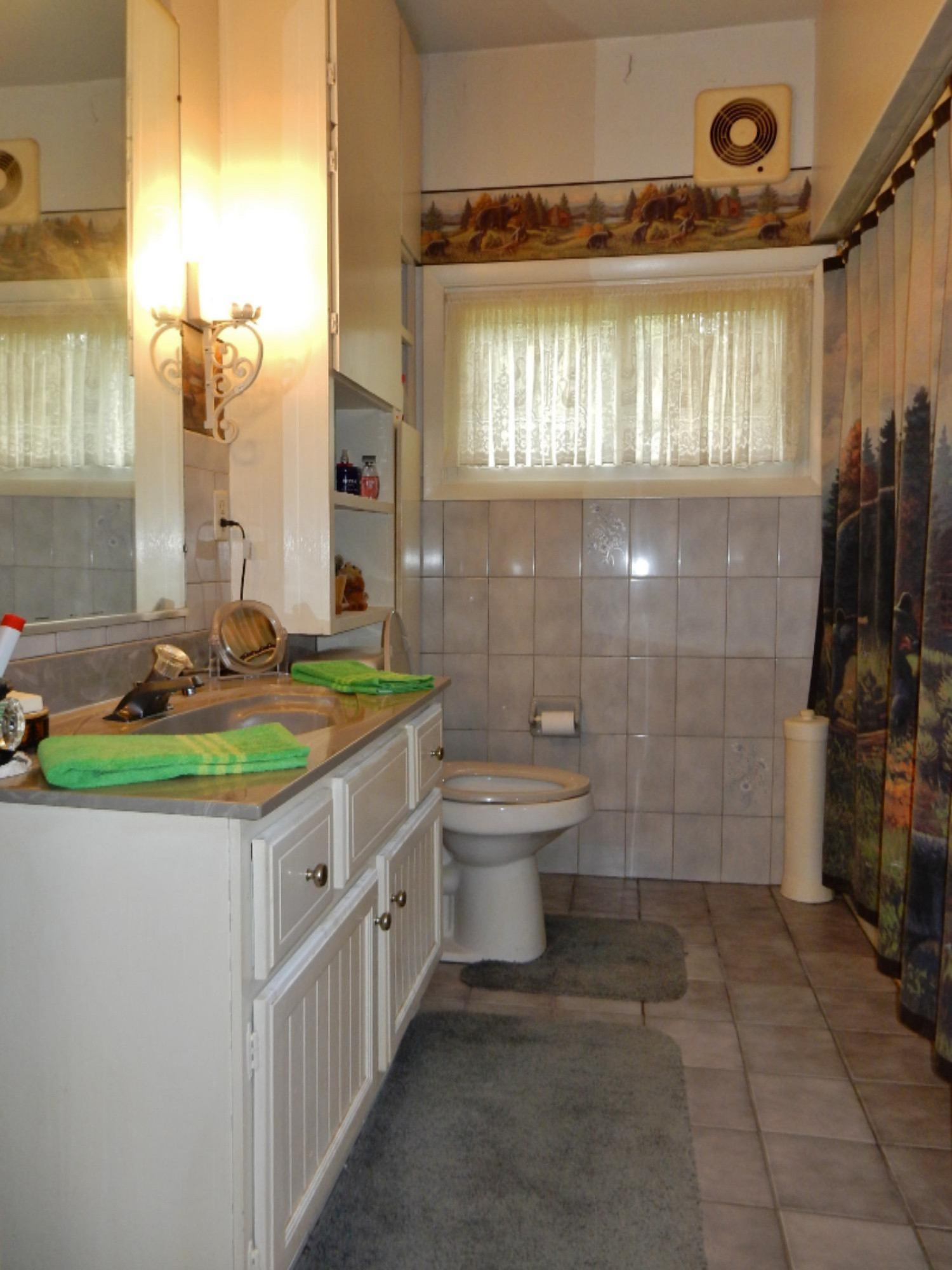 4915 Riverside Road Coloma, MI 49038 - Photo 23 of 57 DSCN8970