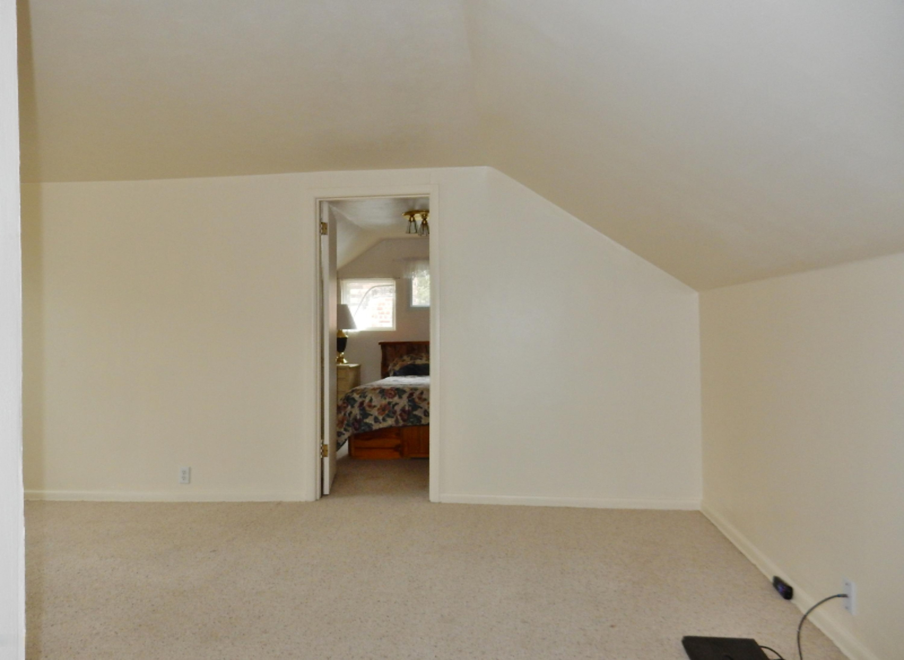 4915 Riverside Road Coloma, MI 49038 - Photo 30 of 57 DSCN8993
