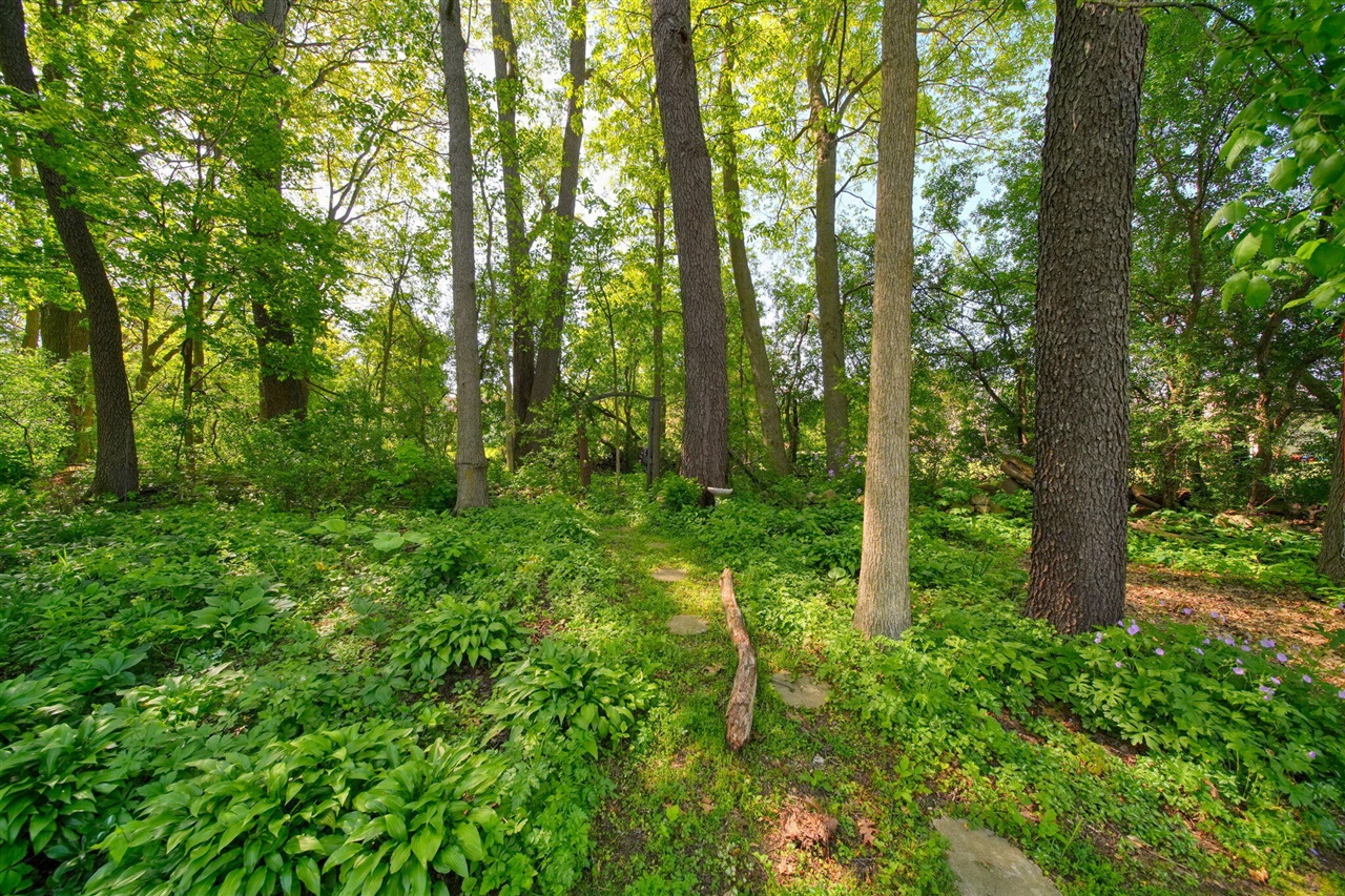 235 Keefer Street Concord, MI 49237 - Photo 46 of 57
