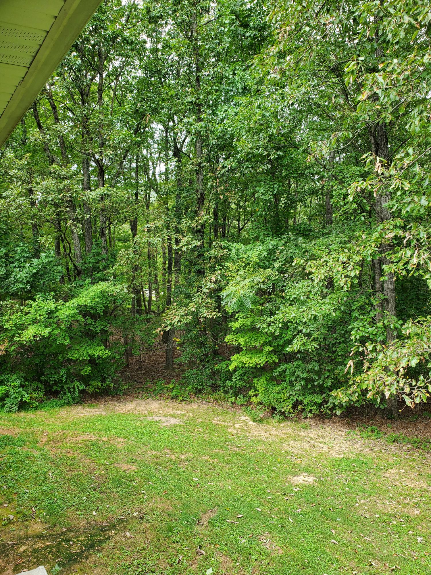 290 Cornell Road Rocky Mount, VA 24151 - Photo 26 of 29 Cornell 3