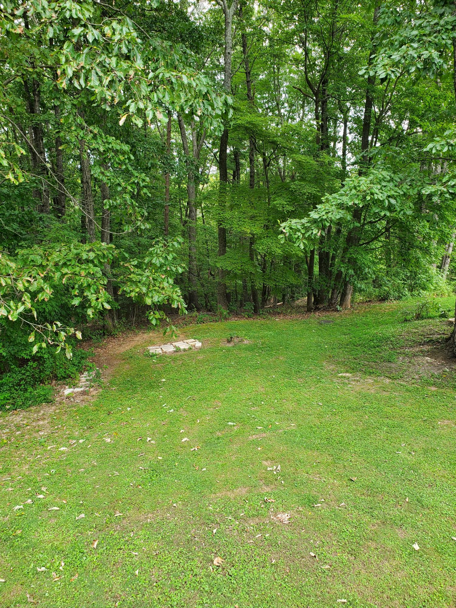 290 Cornell Road Rocky Mount, VA 24151 - Photo 28 of 29 Cornell 4