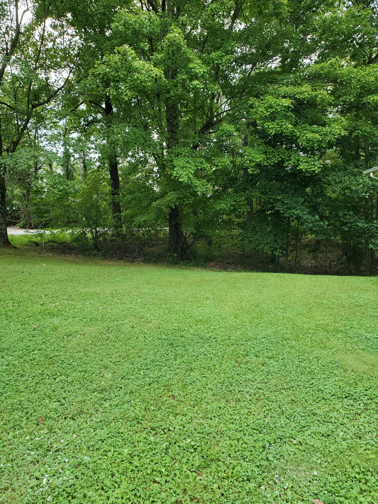 290 Cornell Road Rocky Mount, VA 24151 - Photo 29 of 29 Cornell 1