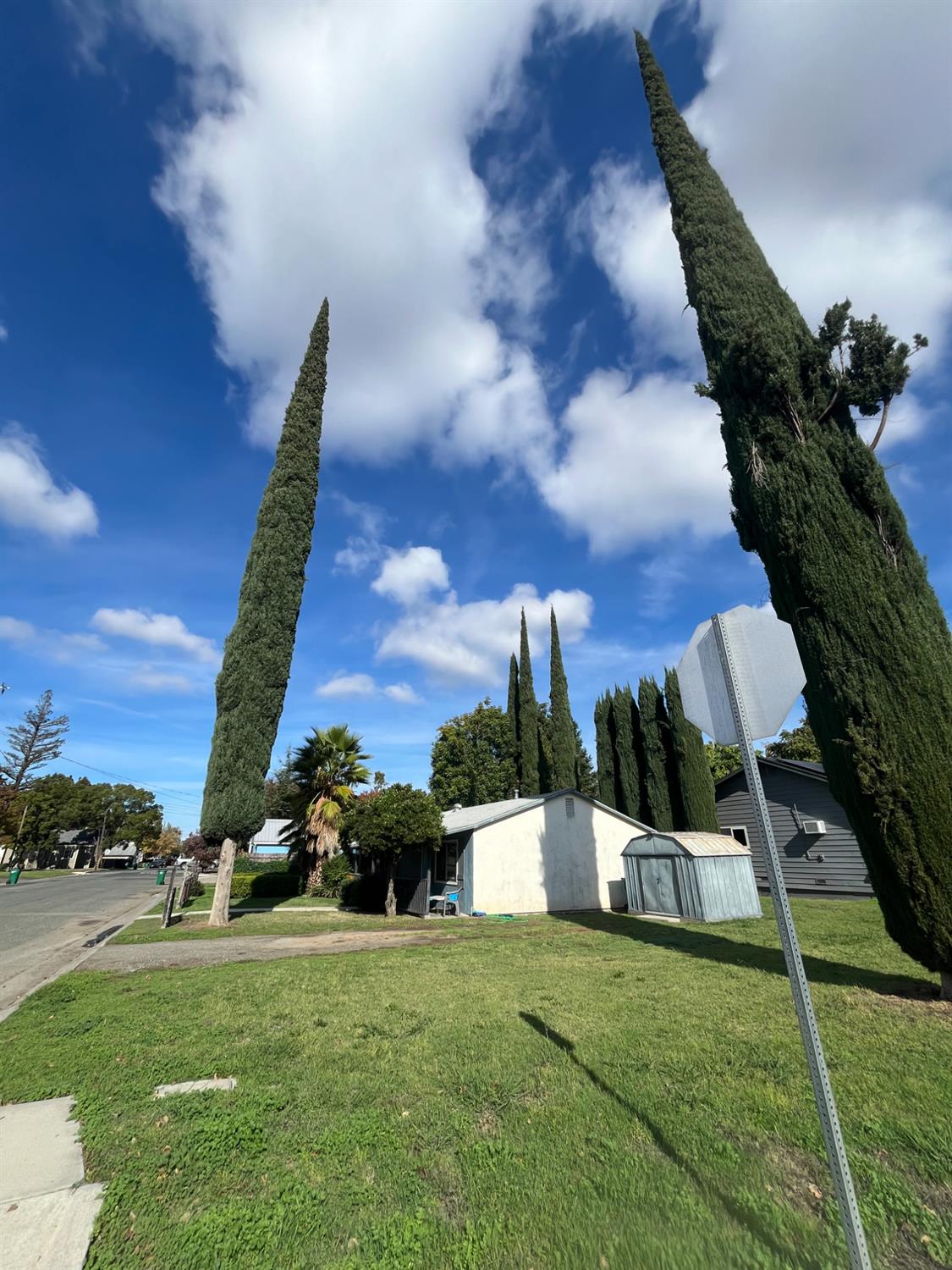 2982 3rd Street Biggs, CA 95917 - Photo 4 of 15