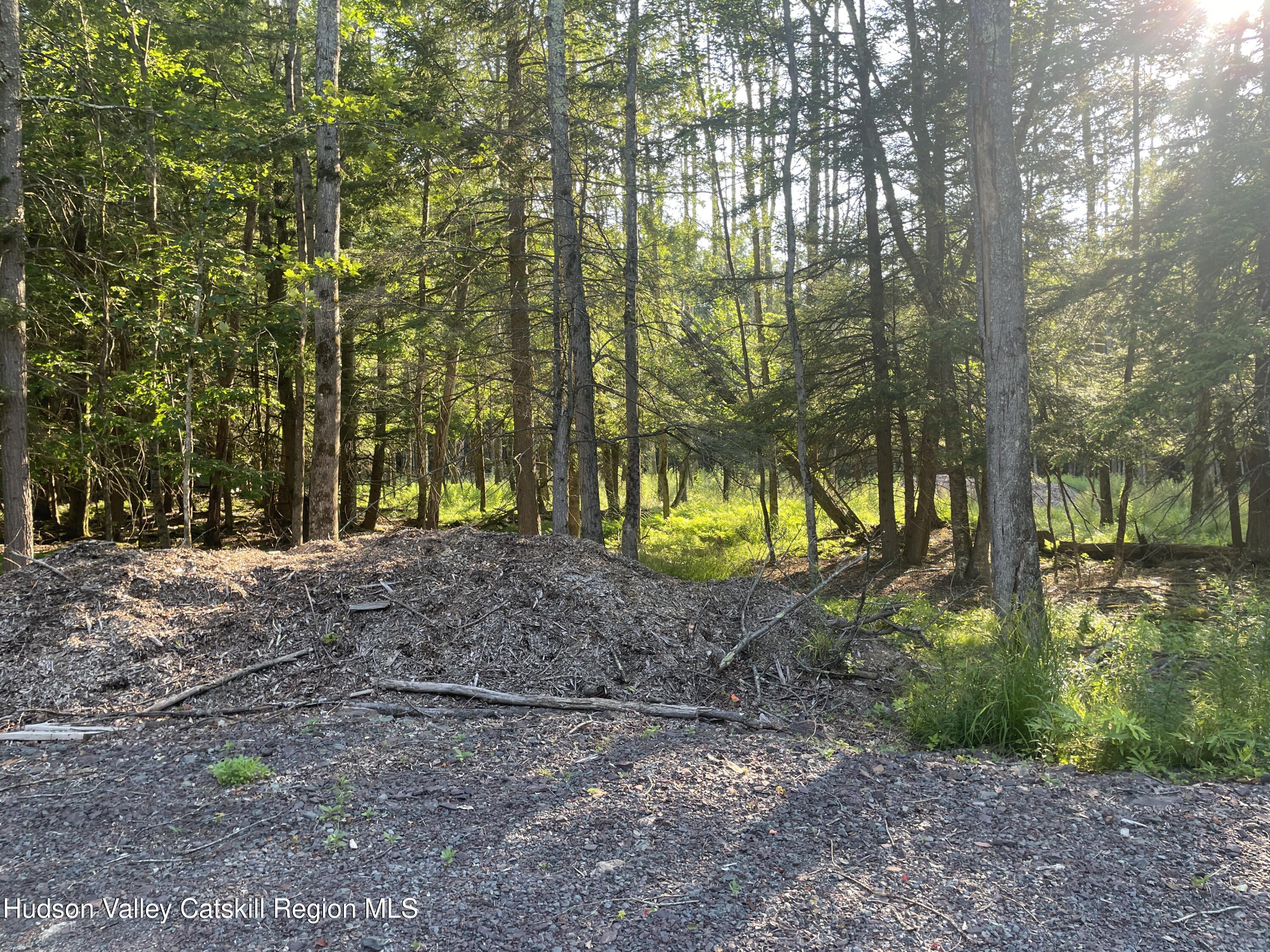 Tbd Boulder Brook Road Windham, NY 12496 - Photo 11 of 57 IMG_0659