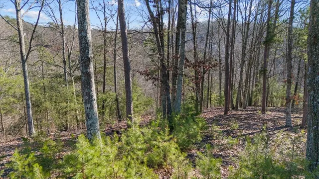 $115,000 | 0 Crest Court, Waverly, TN 37185