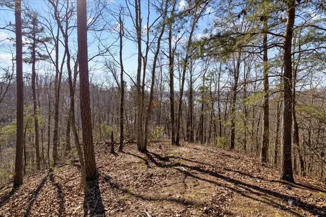 $115,000 | 0 Crest Court, Waverly, TN 37185