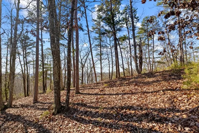 $115,000 | 0 Crest Court, Waverly, TN 37185