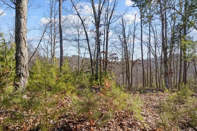 $115,000 | 0 Crest Court, Waverly, TN 37185