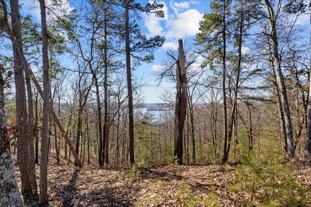 $115,000 | 0 Crest Court, Waverly, TN 37185