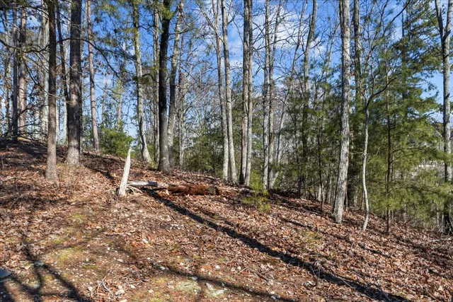 $115,000 | 0 Crest Court, Waverly, TN 37185