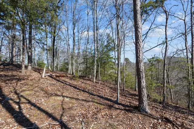 $115,000 | 0 Crest Court, Waverly, TN 37185