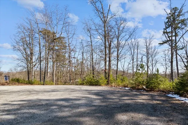 $115,000 | 0 Crest Court, Waverly, TN 37185