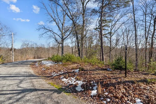 $115,000 | 0 Crest Court, Waverly, TN 37185