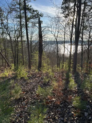 $115,000 | 0 Crest Court, Waverly, TN 37185