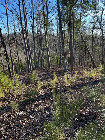 $115,000 | 0 Crest Court, Waverly, TN 37185