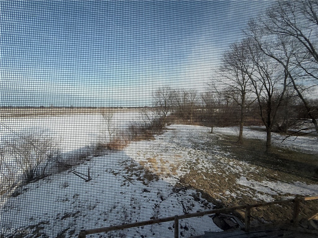 196 North Ridge Street Monroeville, OH 44847 - Photo 5 of 47 back yard