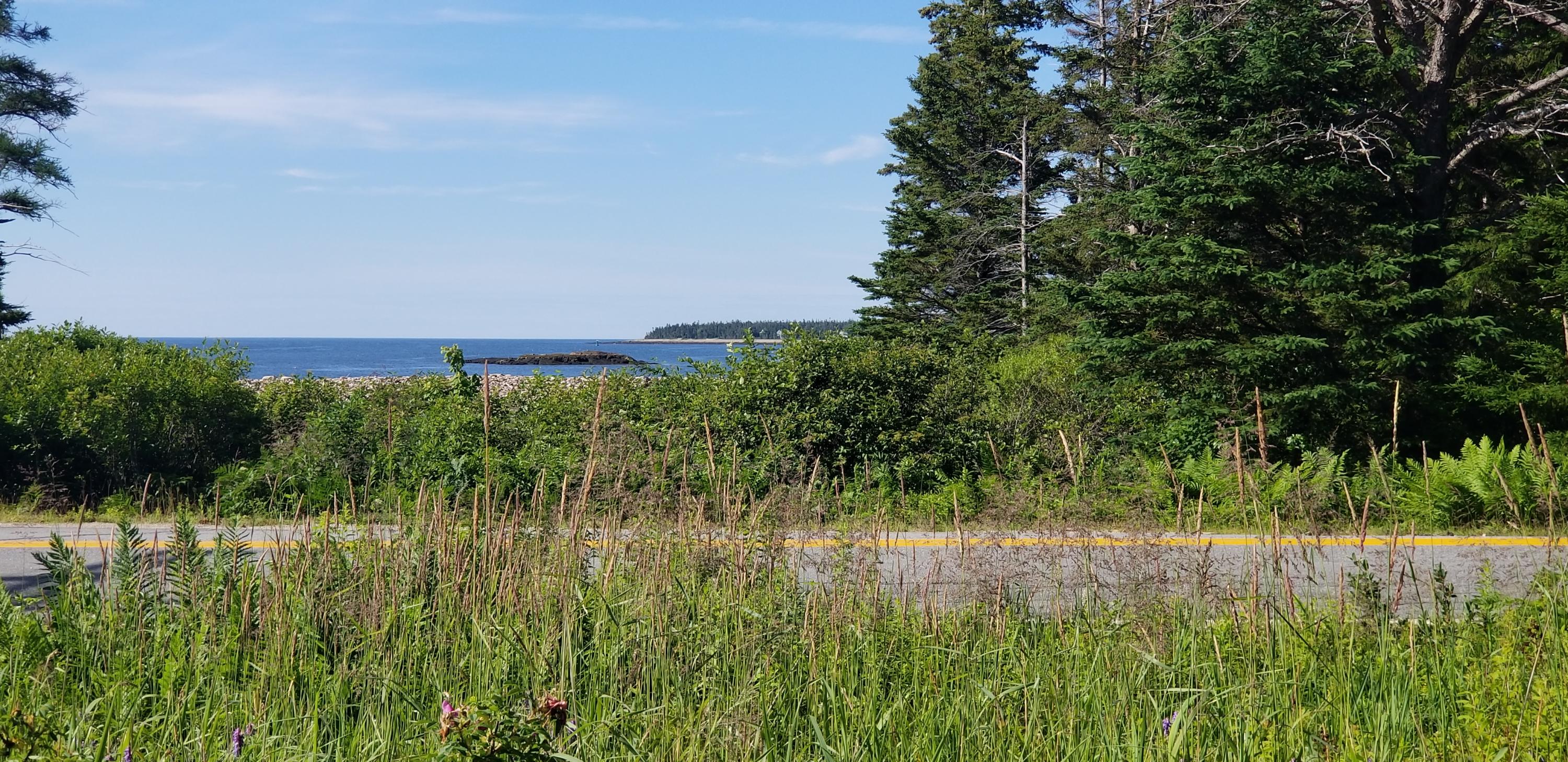 230 Corea Road Corea, ME 04624 - Photo 8 of 29 20190718_084708