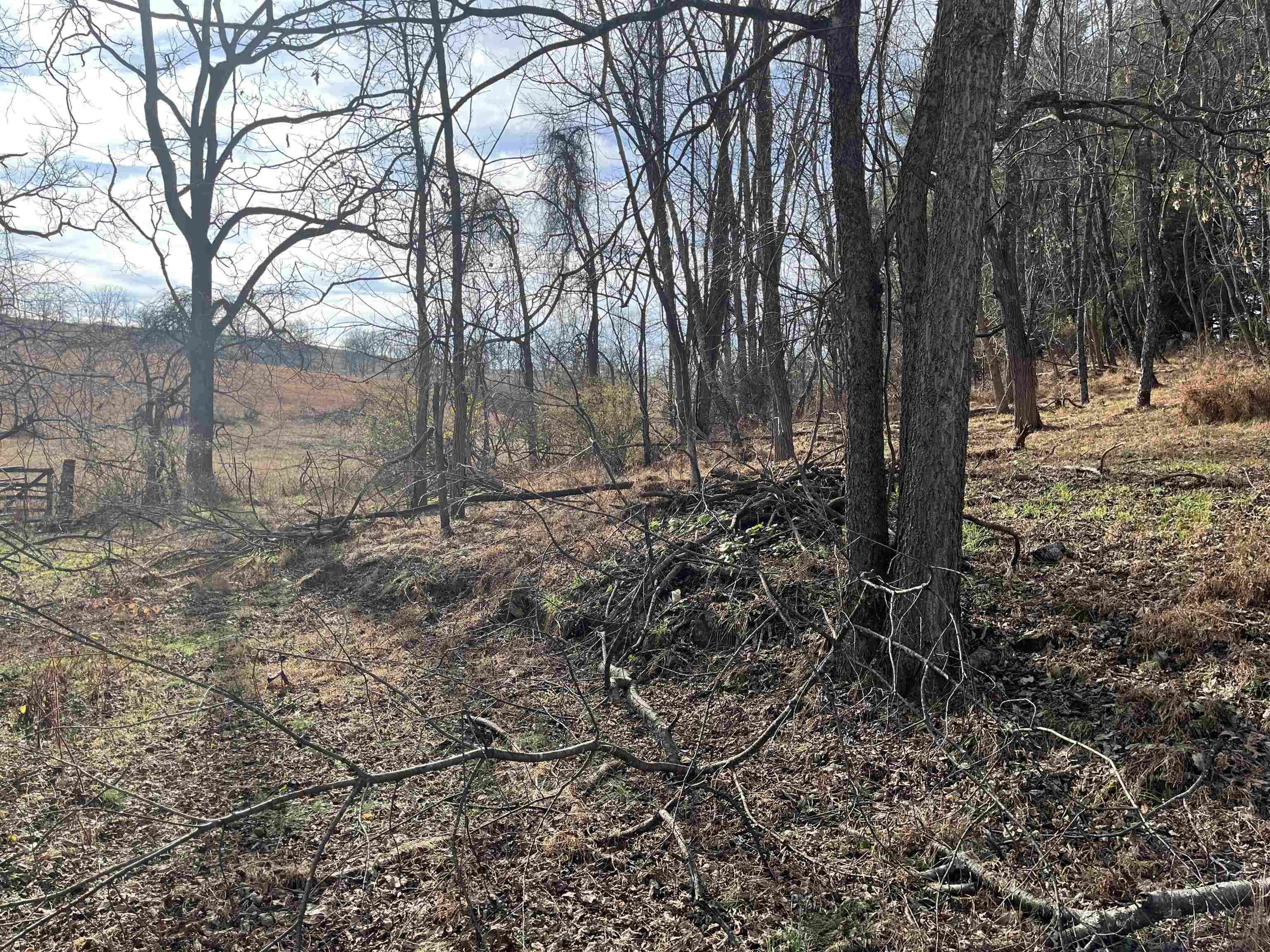 Tbd Buttermilk Spring Road Staunton, VA 24401 - Photo 1 of 3 a view of backyard with green space