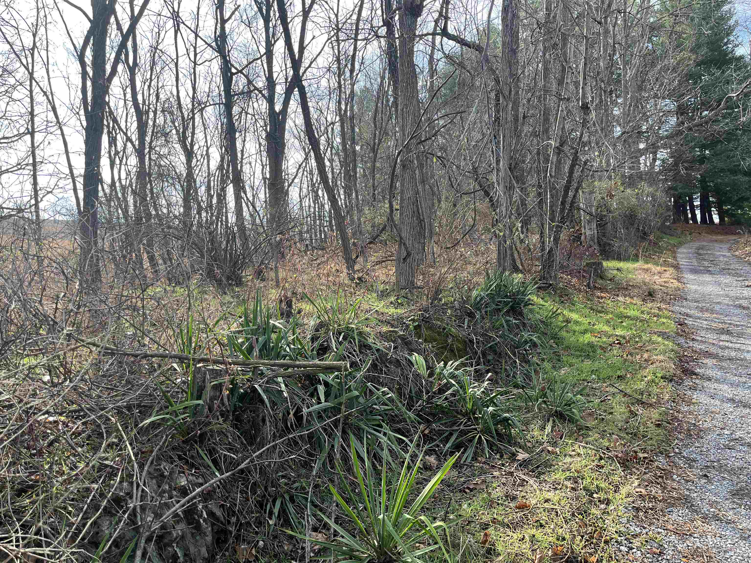 Tbd Buttermilk Spring Road Staunton, VA 24401 - Photo 3 of 3 a backyard of a house with lots of green space and trees