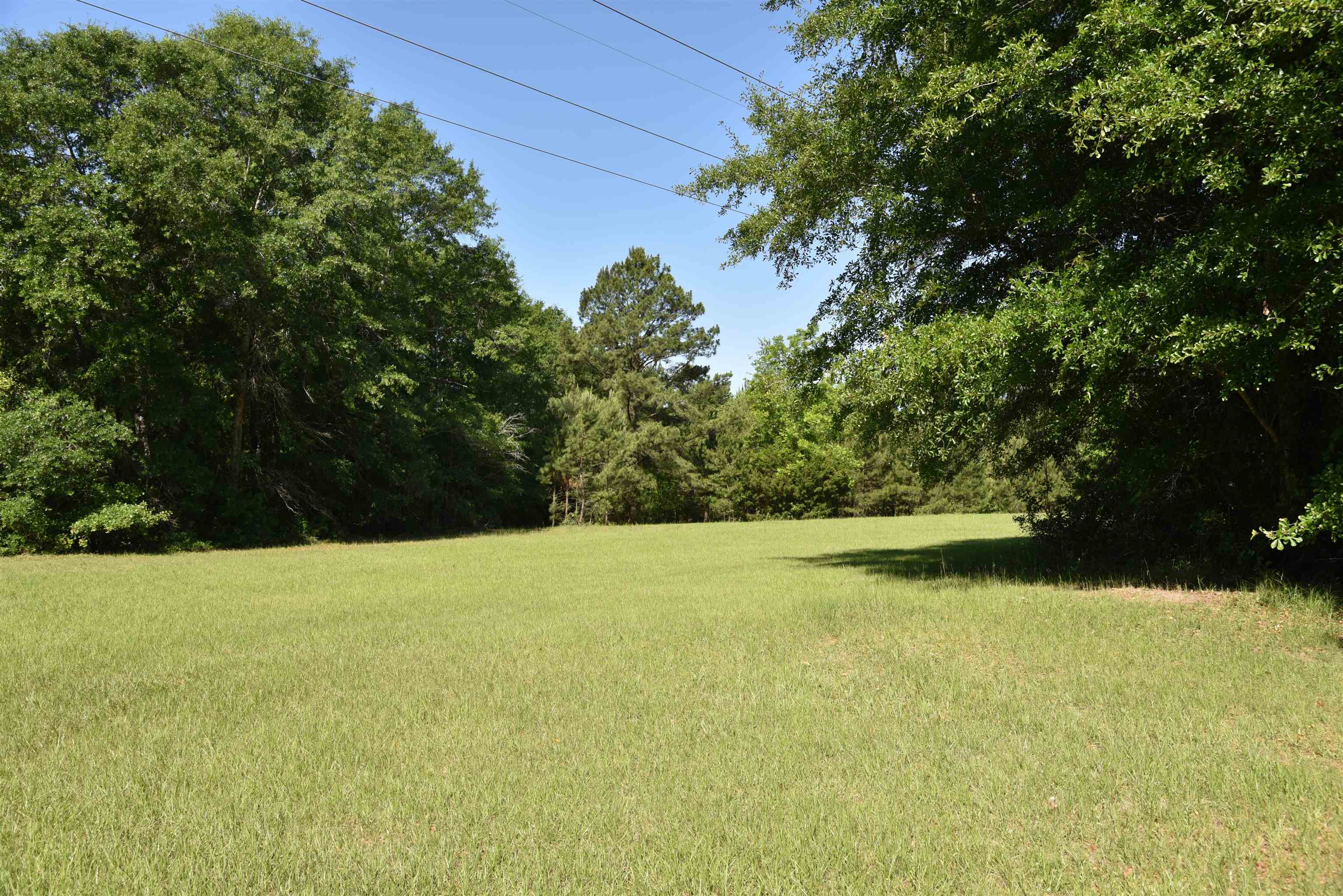 Solomon Dairy Road Quincy, FL 32352 - Photo 8 of 36