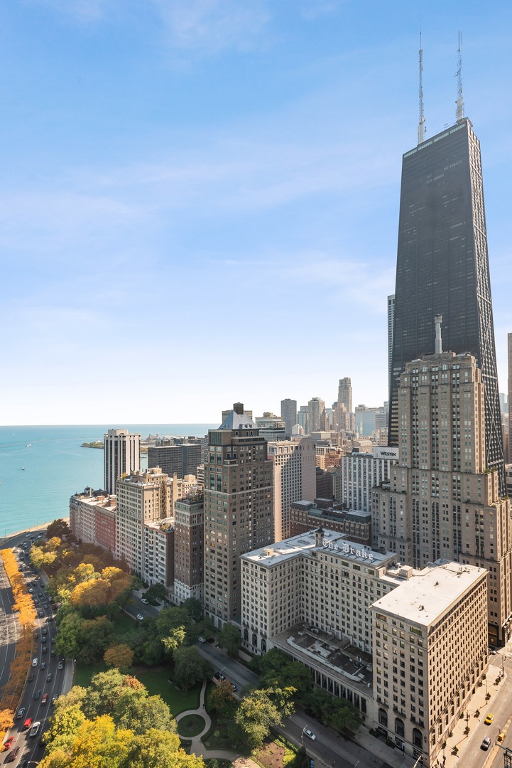 1040 North Lake Shore Drive, Unit 25D Chicago, IL 60611 - Photo 38 of 38