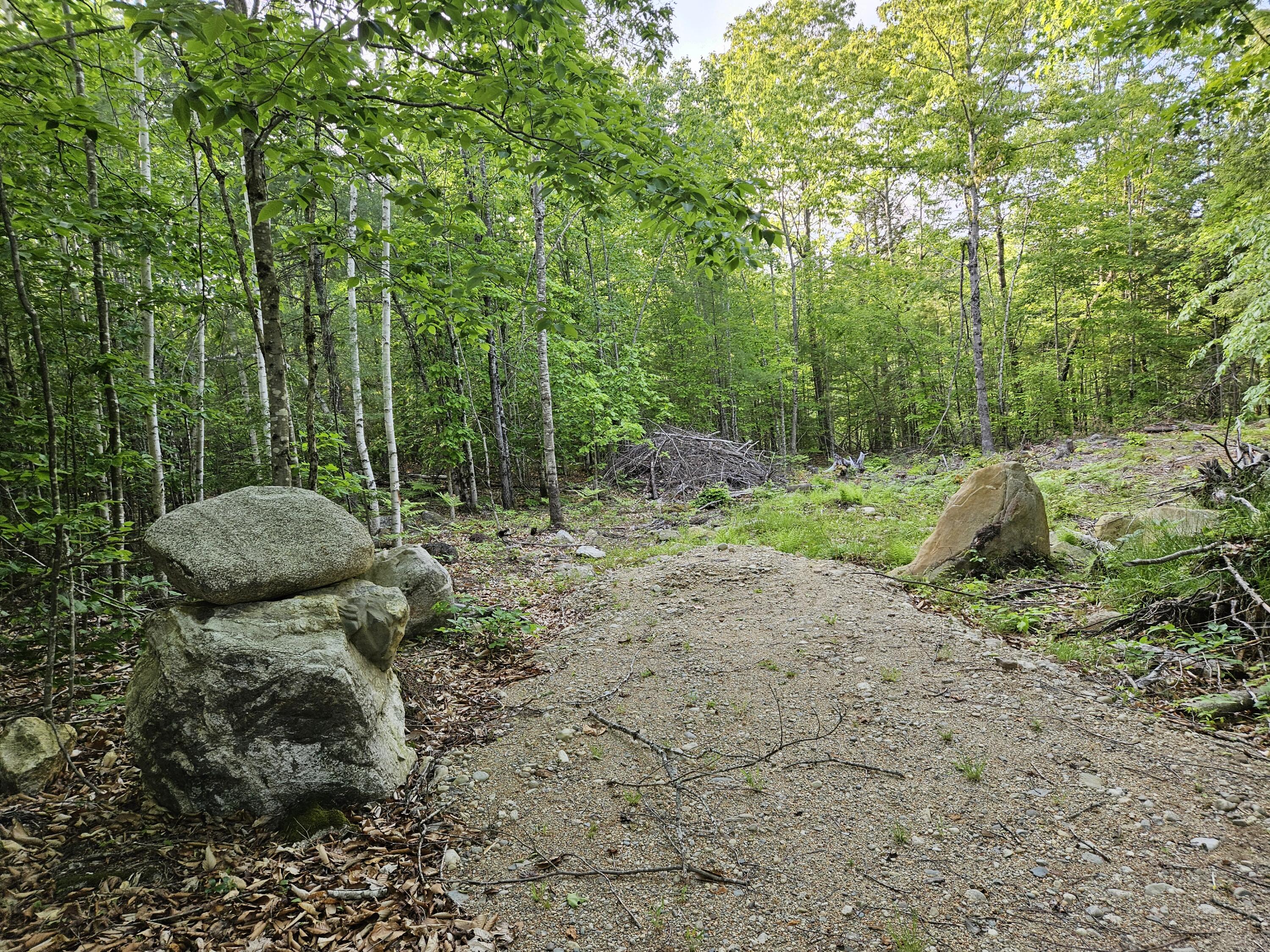 170 Emery Corner Road Limerick, ME 04048 - Photo 5 of 11 20250603_181820