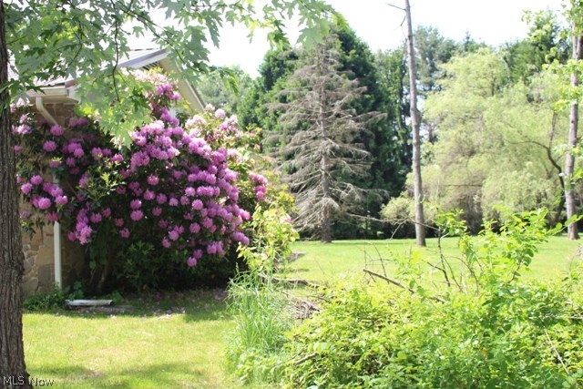239 Fluharty Road Middlebourne, WV 26149 - Photo 21 of 32