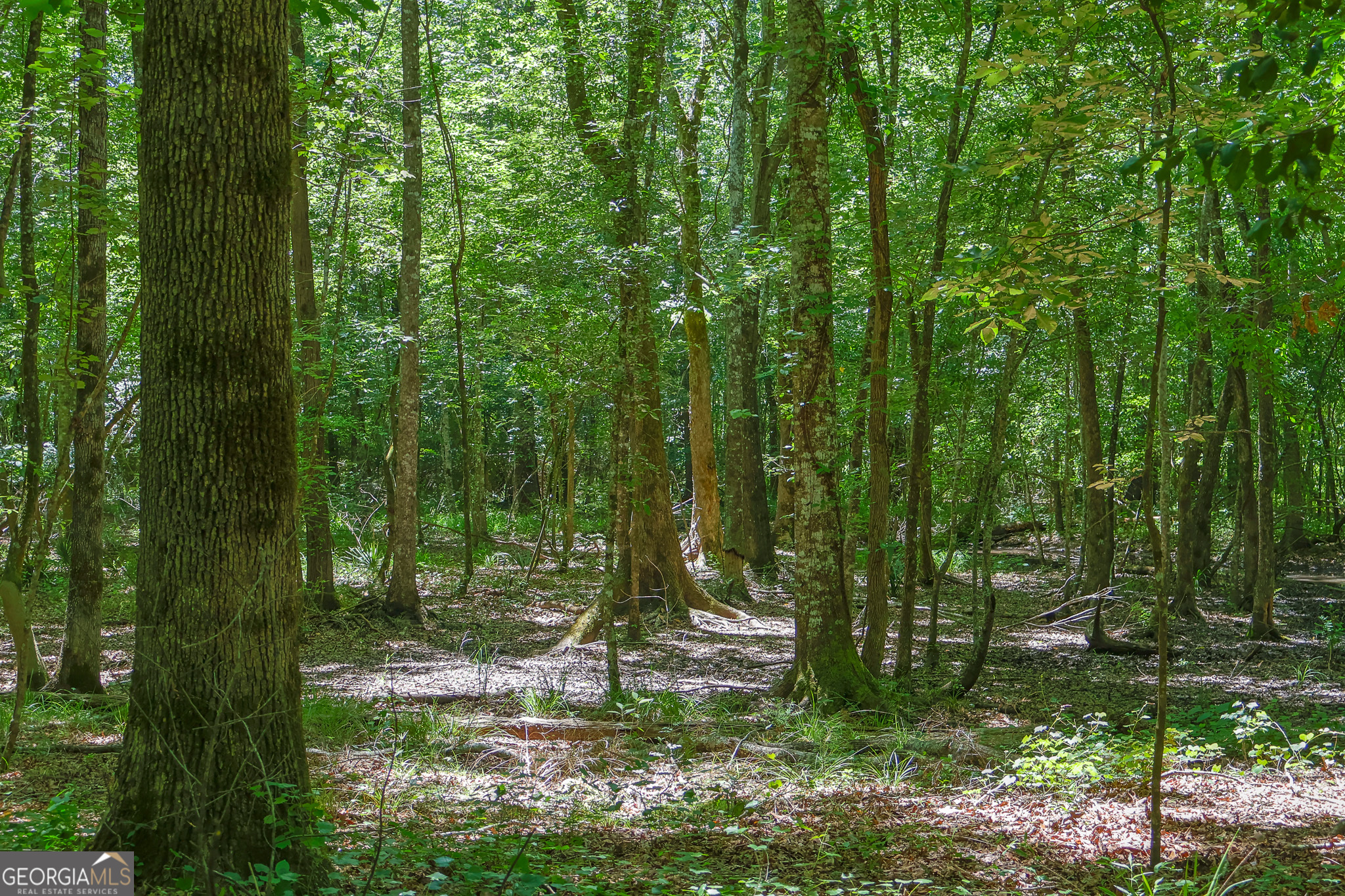 232 Crane Road Cochran, GA 31014 - Photo 13 of 20