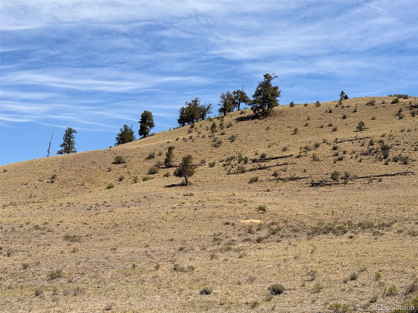Hardwood Loop Hartsel, CO 80449 - Photo 27 of 38